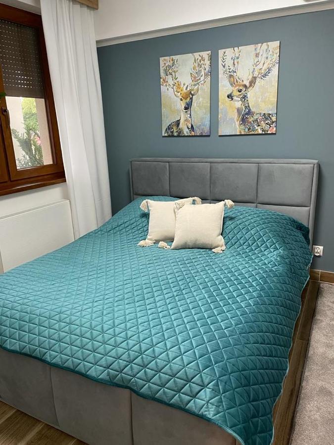 Apartament Sosnowy Zakatek 글리비체 외부 사진