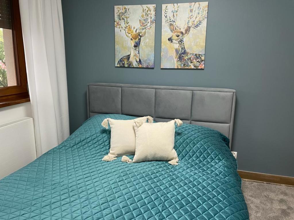 Apartament Sosnowy Zakatek 글리비체 외부 사진